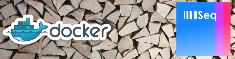 Centralized logging hosted in Docker